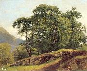 Ivan Shishkin Beech Forest in Switzerland oil painting on canvas
